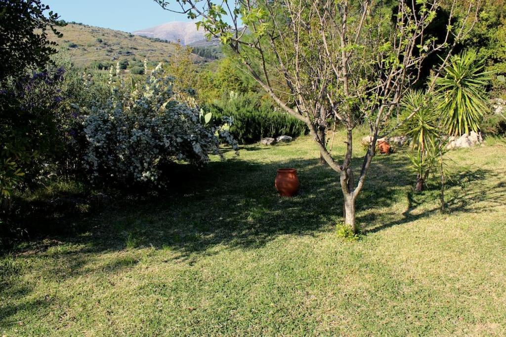 Fragosiko - Rustic Retreat In Kefalonia アルゴストリオン エクステリア 写真