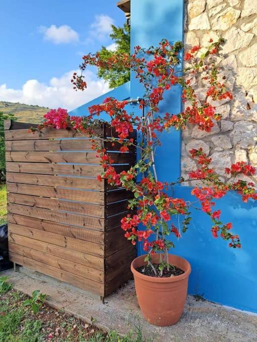 Fragosiko - Rustic Retreat In Kefalonia アルゴストリオン エクステリア 写真