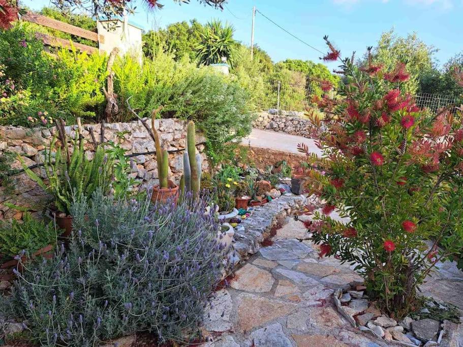 Fragosiko - Rustic Retreat In Kefalonia アルゴストリオン エクステリア 写真