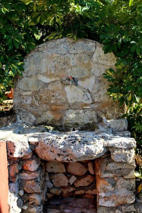 Fragosiko - Rustic Retreat In Kefalonia アルゴストリオン エクステリア 写真
