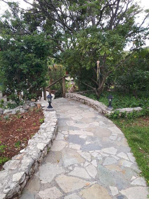 Fragosiko - Rustic Retreat In Kefalonia アルゴストリオン エクステリア 写真